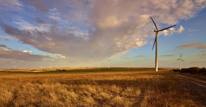 A grassy dry field showing many wind turbines going into the distance with clouds above