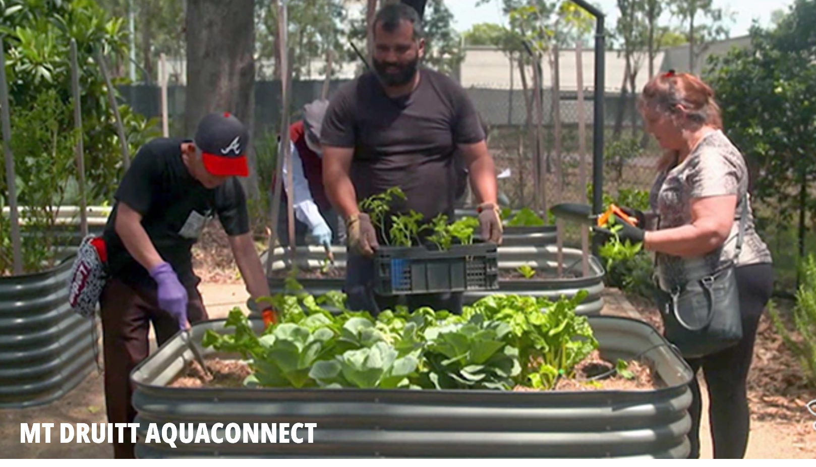 Mt Druitt Aquaconnect picture. Two men and a woman tend to a garden.