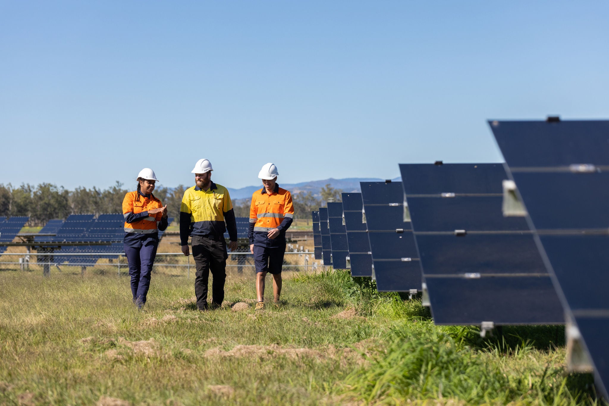 Three Alinta Energy workers in high visibility clothes and hard hats walking alongside many solar panels in a spacious meadow